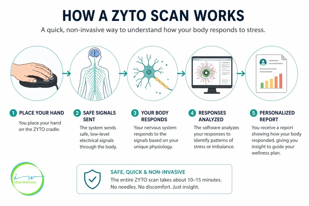 Diagram showing how a zyto scan works from input to response and report.